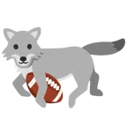 アメフト + オオカミの顔