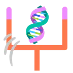 アメフト + DNA