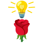 lâmpada + rosa