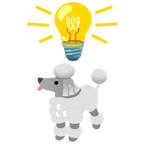 lâmpada + poodle