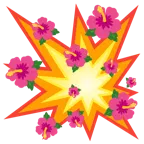 Zusammenstoß + Hibiskus