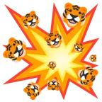 Zusammenstoß + Tigergesicht