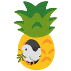 gołąb + ananas