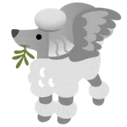 gołąb + pudel