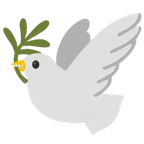 gołąb + twarz z grymasem