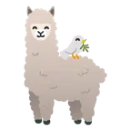 gołąb + lama