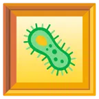 quadro incorniciato + microbo