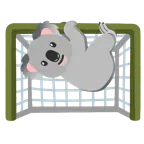 ゴールネット + コアラ