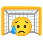 ゴールネット + どうしよう