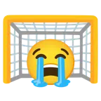 ゴールネット + 大泣き