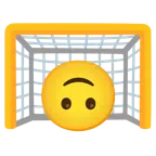 ゴールネット + さかさまの顔