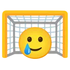 ゴールネット + 嬉し涙の顔