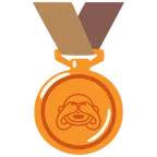 medaglia di bronzo + non vedo
