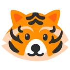Waschbär + Tigergesicht