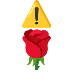 warning + rose