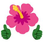 pulgar hacia arriba + flor de hibisco