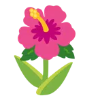 tulipán + flor de hibisco