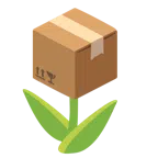 Tulpe + Paket