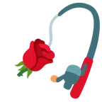 canna da pesca + rosa