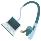 canna da pesca + computer portatile