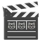 ciak + muso di gatto
