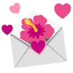carta de amor + flor de hibisco