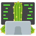 computer portatile + cactus