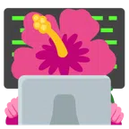 computer portatile + ibisco