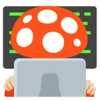 computer portatile + fungo