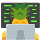 computer portatile + ananas