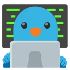 computer portatile + uccello