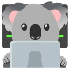 computer portatile + koala