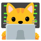 computer portatile + muso di gatto