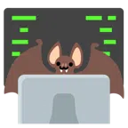 computer portatile + pipistrello