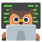 computer portatile + gufo