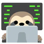 computer portatile + bradipo