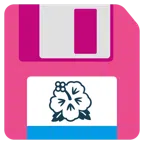 floppy disc + ibisco