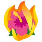 Feuer + Hibiskus