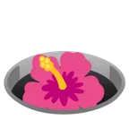 Loch + Hibiskus