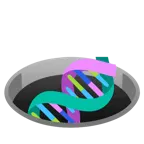 Loch + DNA