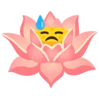 Lotusblüte + bedrücktes Gesicht mit Schweiß