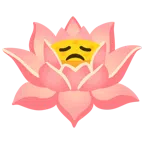 Lotusblüte + enttäuschtes Gesicht