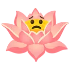 Lotusblüte + besorgtes Gesicht