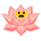 Lotusblüte + entsetztes Gesicht