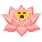 Lotusblüte + Gesicht mit offenem Mund
