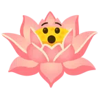 Lotusblüte + verdutztes Gesicht