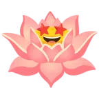 Lotusblüte + überwältigt