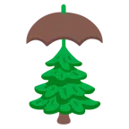 ombrello + albero sempreverde