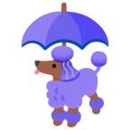 ombrello + barboncino