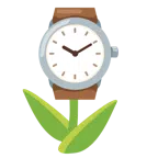 Tulpe + Armbanduhr